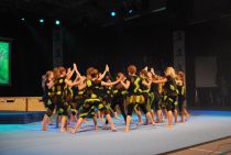 Wiggensbach_Turngala_2011_FunkyMonkey_006.jpg