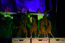 Wiggensbach_Turngala_2011_CrazyHuepfers_050.jpg