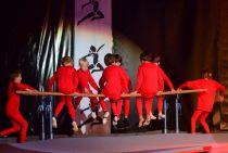 Wiggensbach_Turngala_2011_RednBlueBoysGroup_028.jpg