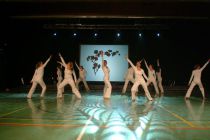 Wiggensbach_Turngala2007-ExpressionInWeiss_009.jpg