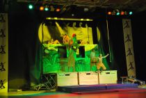 Wiggensbach_Turngala_2011_CrazyHuepfers_058.jpg