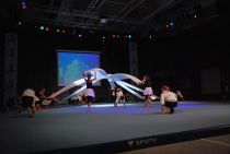 Wiggensbach_Turngala_2011_MixedundSolo_028.jpg