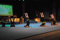 Wiggensbach_Turngala_2011_FunkyMonkey_015.jpg