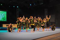 Wiggensbach_Turngala_2011_FunkyMonkey_005.jpg