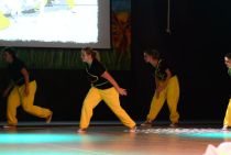 Wiggensbach_Turngala_2011_Jumpstyle_004.jpg