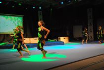 Wiggensbach_Turngala_2011_FunkyMonkey_035.jpg